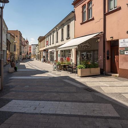 Central Platinum Apartments 24 Rybnik  Dış mekan fotoğraf