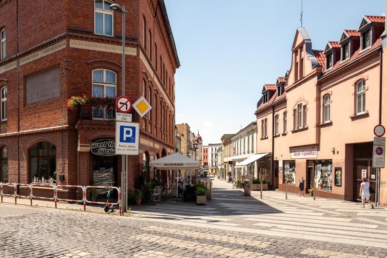 Central Platinum Apartments 24 Rybnik  Dış mekan fotoğraf